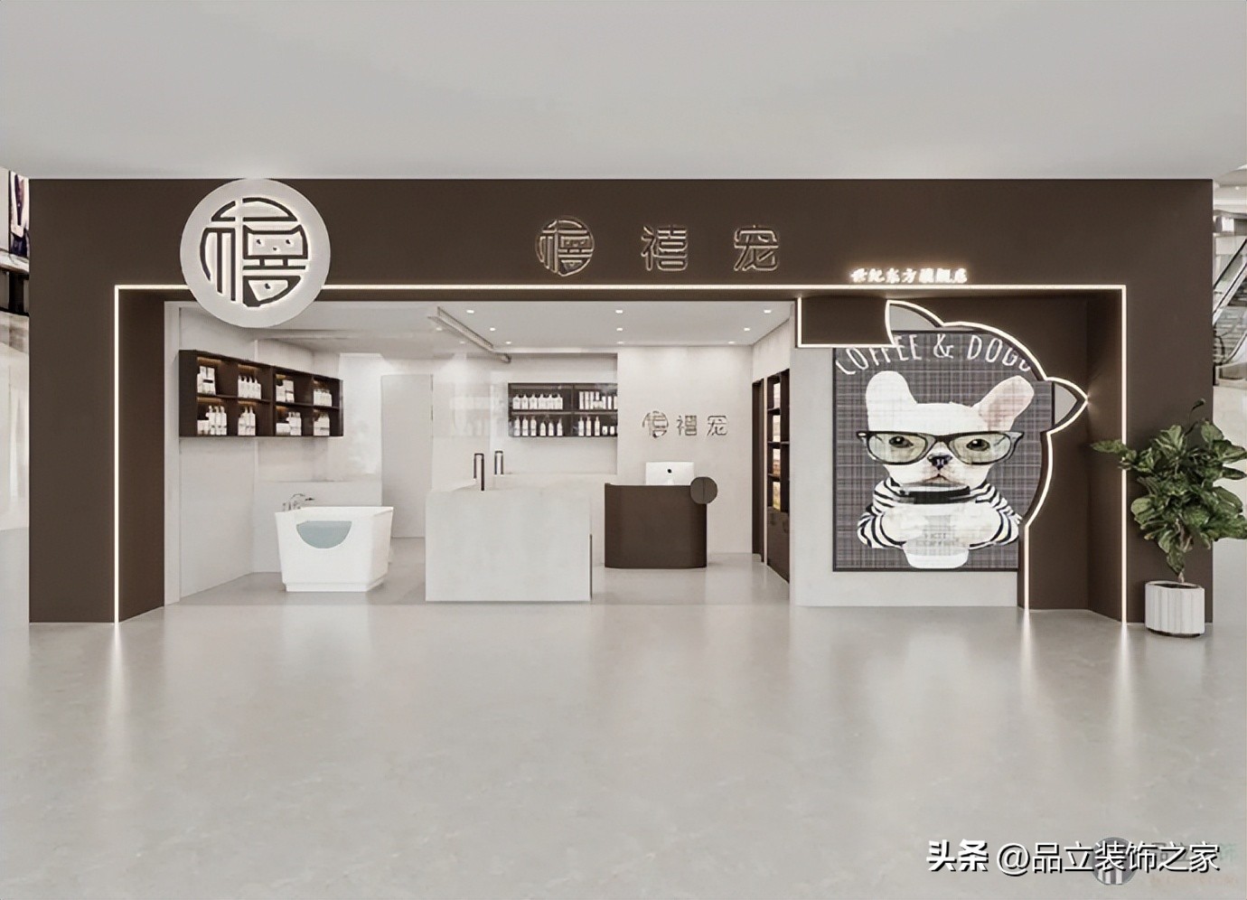 杭州宠物店装修需要多少钱,60平宠物店设计装修效果图