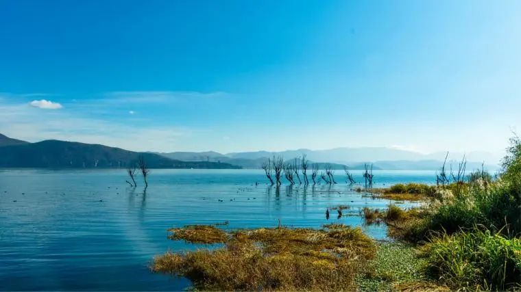 淡季大理堪称人间理想,大理的旺季真实体验