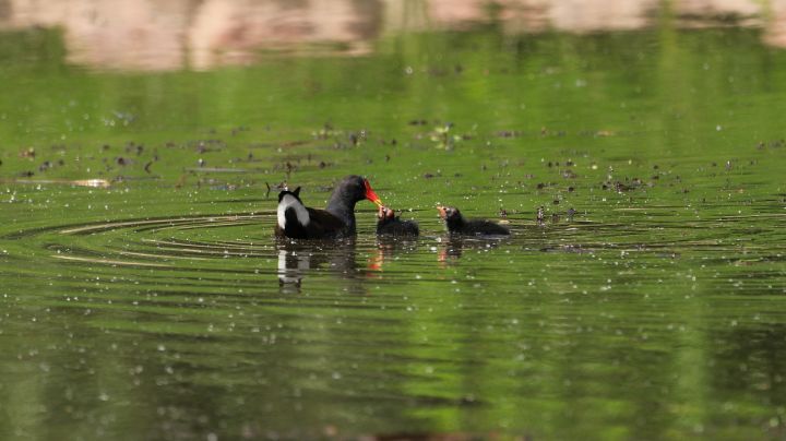 不想打工就做这几个小生意谋生,不想打工必须做这三个暴利小生意