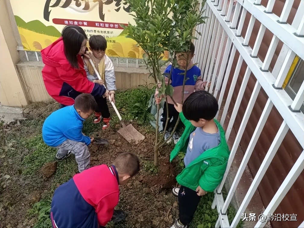 独山县城西童乐幼儿园:“春风十里,绿意萌动”