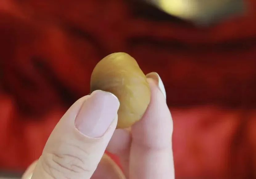 来了，2022太仓栗子不完整种草指南