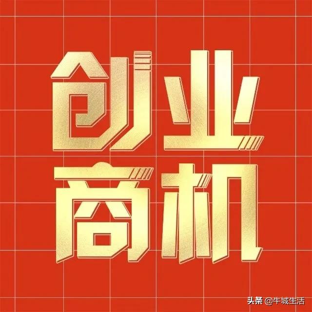 日赚五六百的小生意你也可以干