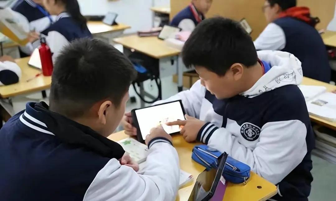 托管机构最近政策,为什么托管班不受政策影响