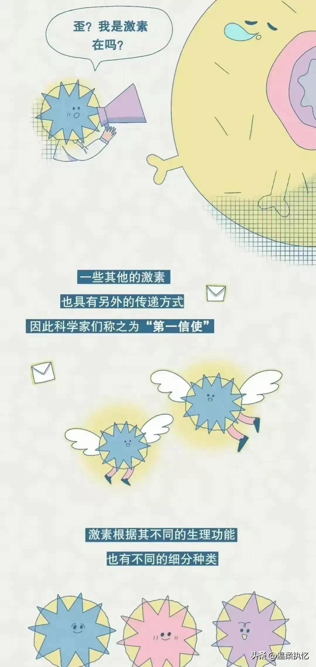 女生荷尔蒙分泌是什么,女生荷尔蒙分泌过多