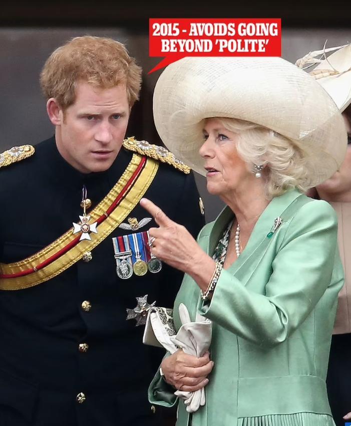 哈里王子为何恨卡米拉,哈里王子抨击卡米拉