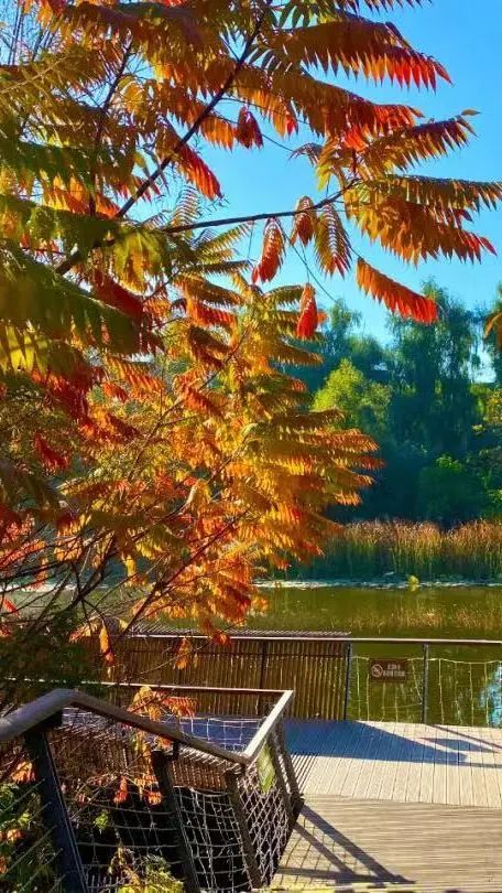 金秋吉林，“醉”美五地，承包你对秋天的所有幻想