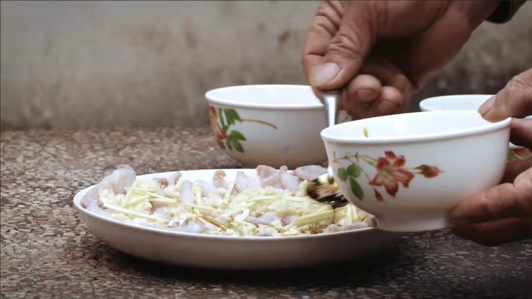 生蚝壳上的圆圆的虫子是什么,生蚝壳有红色虫子是什么虫子