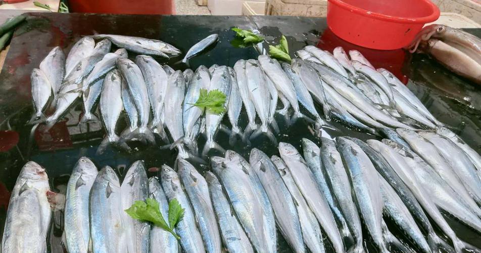 医生提醒禁止食用这四种鱼,会加重身体负担的4种鱼尽量少吃