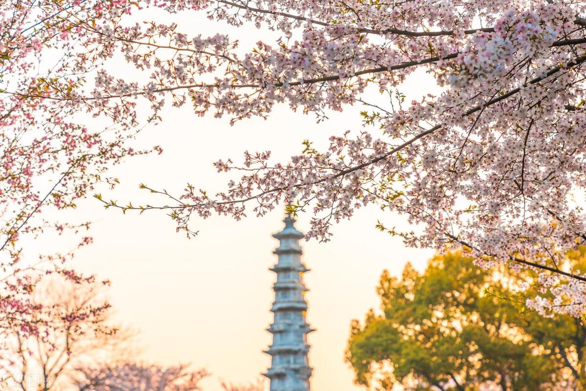 为何成了杭州最美公园之一,杭州最美的十个免费公园