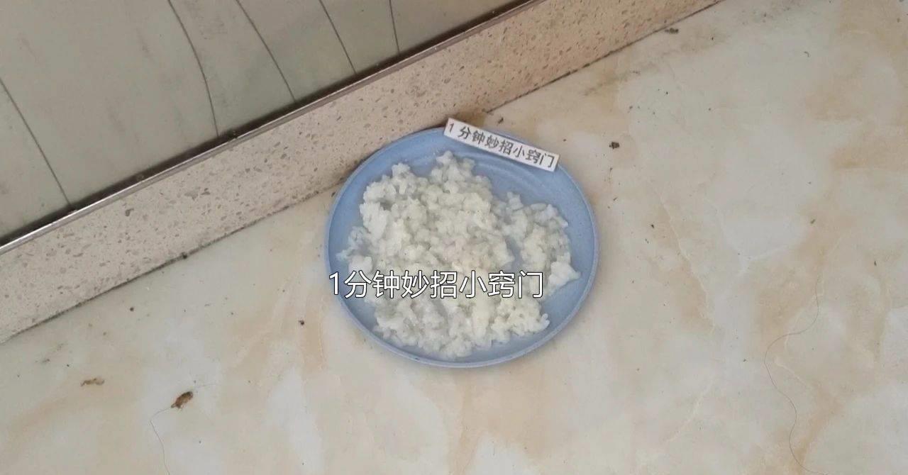 蚂蚁怎么消除无毒,蚂蚁正确消除方式