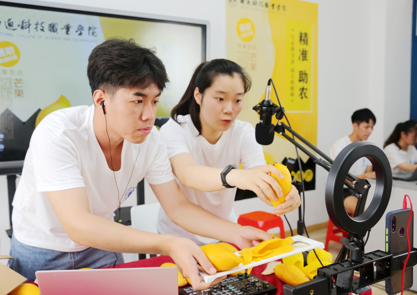 互联网电商直播带货发展规划,互联网农产品直播营销方案