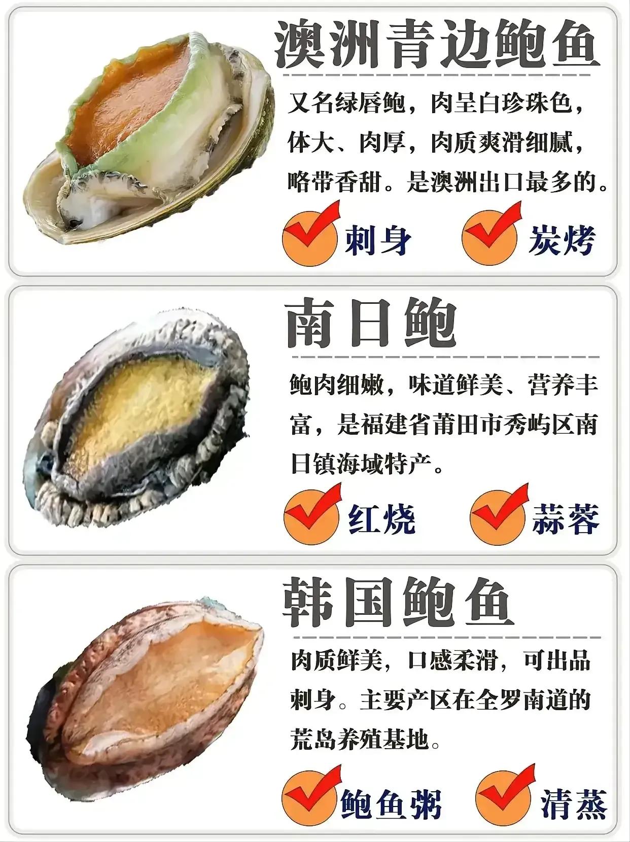 鲍鱼很多种不认识？教你它们的区别和口感，以及吃法