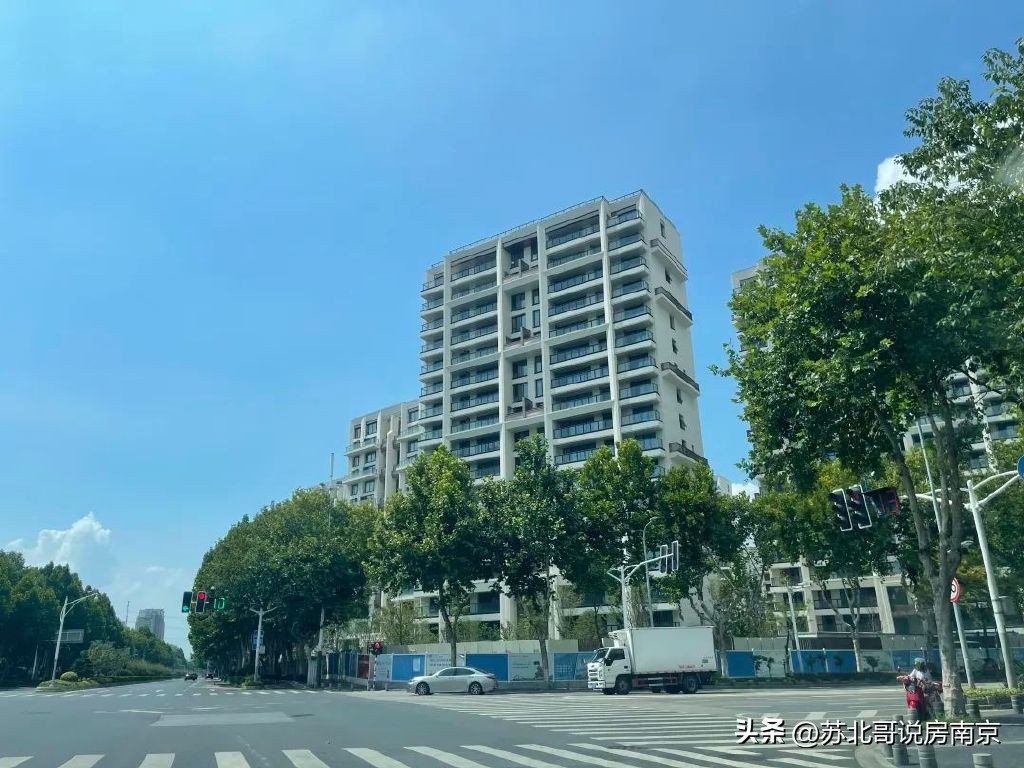 南京丹若园进度,南京丹若园哪年交付