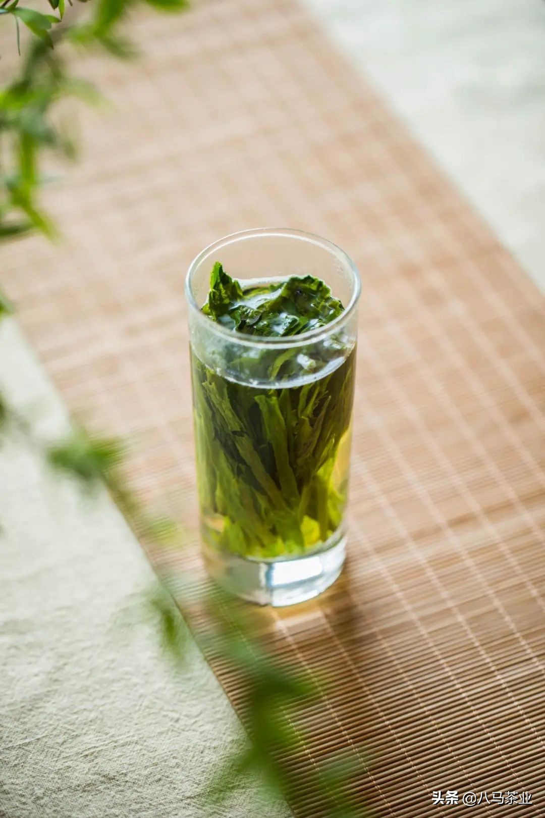 让生活过得去必须添点绿,要想生活过得去头上就得有点绿