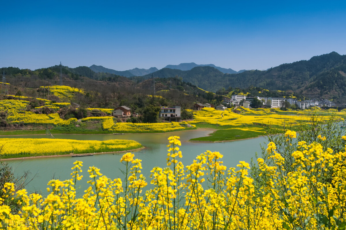 皖南赏花排名,安徽皖南春光好赏花正当时