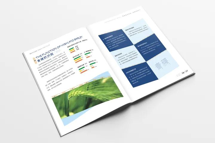 画册排版设计技巧有哪些,顶级画册设计排版注意什么
