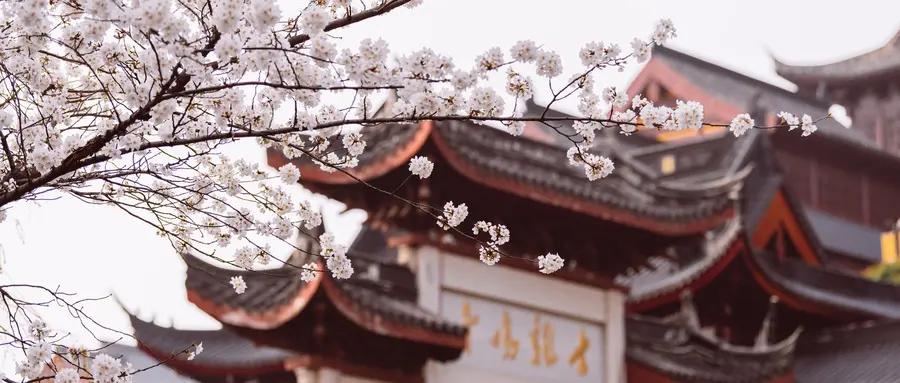 2023年新闻热点事件全部,2023年时事新闻热点事件