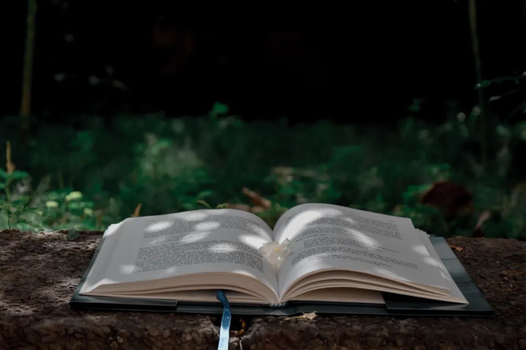 拼多多正版文学书籍,外文双语书拼多多