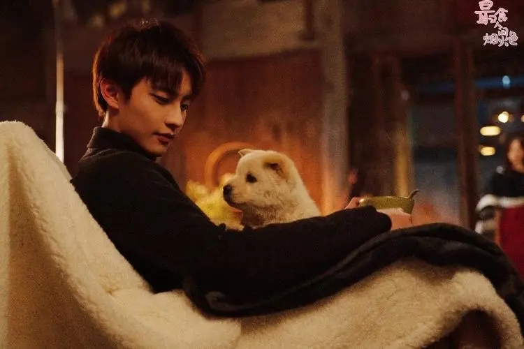 5部先婚后爱的甜宠剧古装,5部先婚后爱的甜宠剧待播