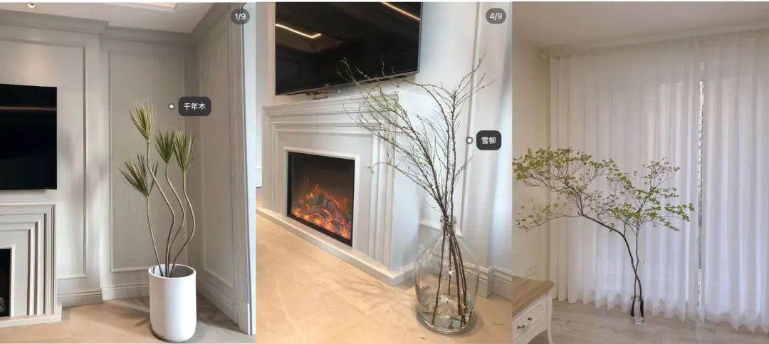 郁金香是不是智商税,郁金香是毒花吗