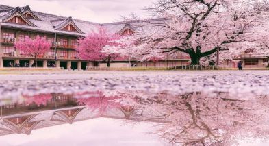 留学咨询机构哪家靠谱,美国留学咨询机构公司