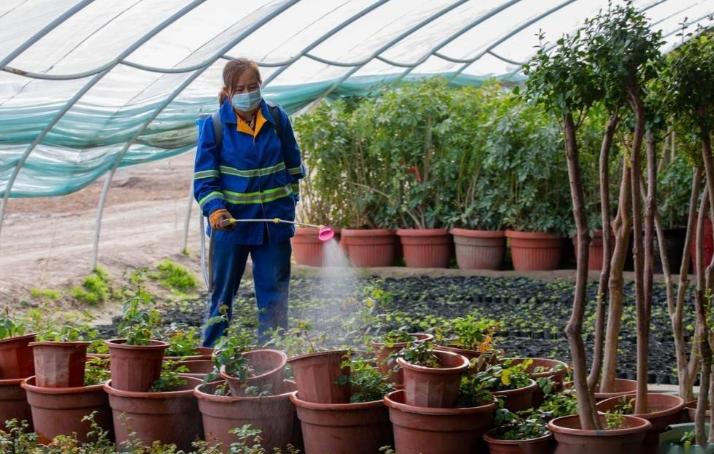 花圃工证考试与报名指南以及考试费用和职业发展介绍