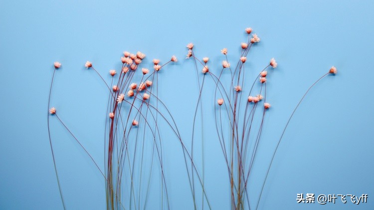 舍不得放手的男人有哪些表现,男人知道老婆和别人聊暧昧的表现