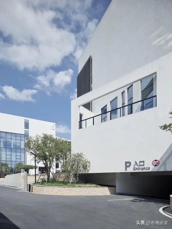 老鹰画室精品班和进阶班,成都老鹰画室和成都艺考画室