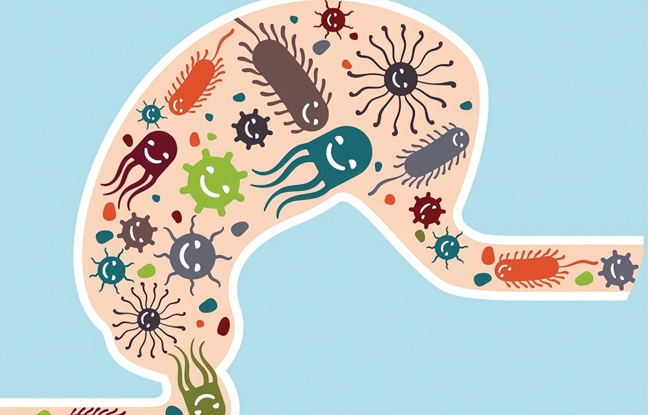 粮食中真菌的检测,粮食中真菌毒素检测的优缺点