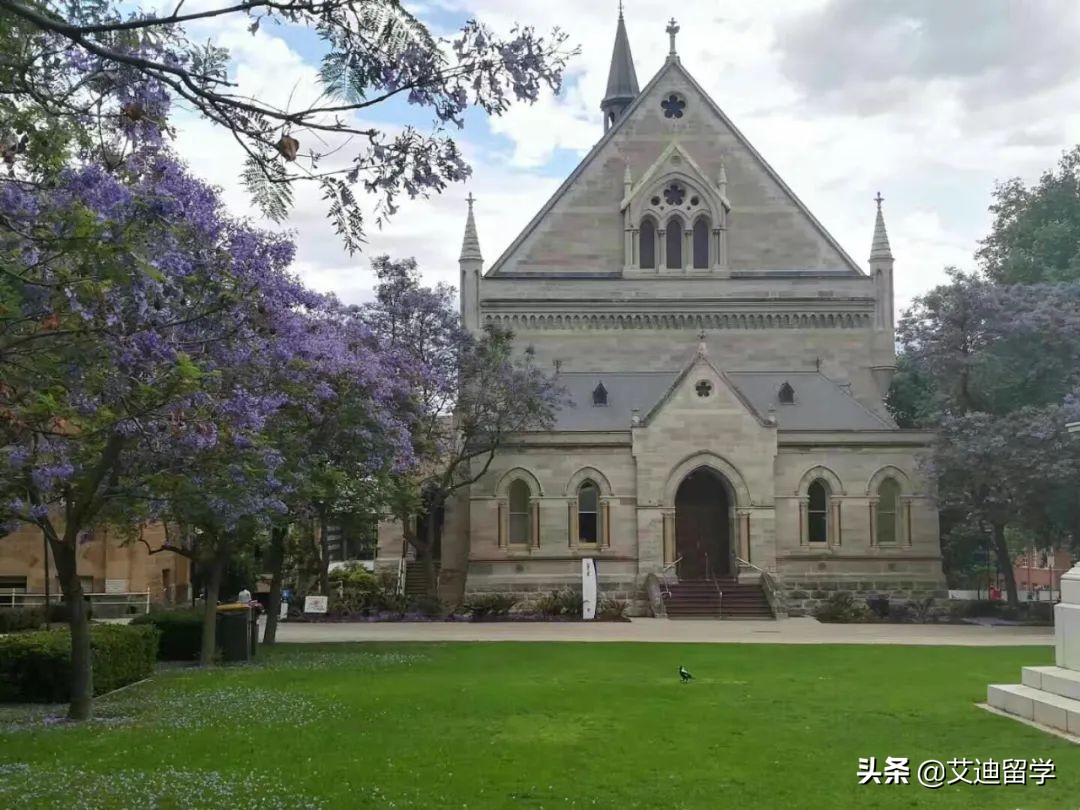 最具性价比的澳洲八大—阿德莱德大学，太多你不知道的独特优势