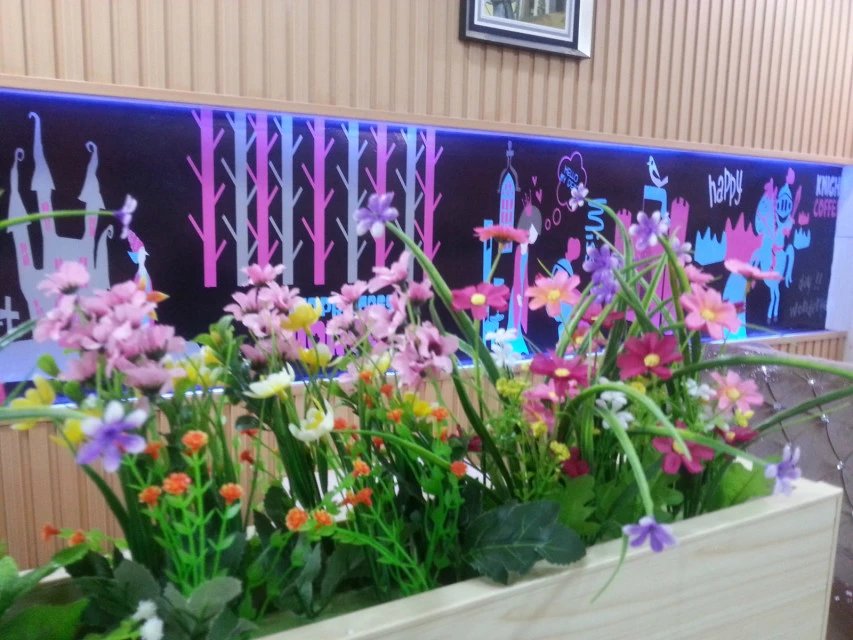 黑咖骑士加盟费明细,黑咖骑士