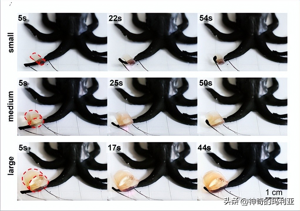 磁性响应水凝胶,光热效应水凝胶