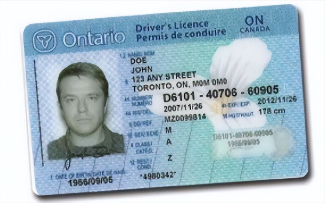 卡车司机可以移民哪个国家,加拿大卡车司机骗局