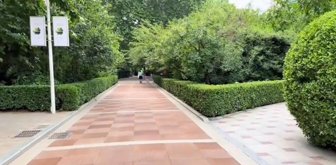 郑州有哪些值得游玩的景点推荐,郑州值得去的旅游景点有哪些