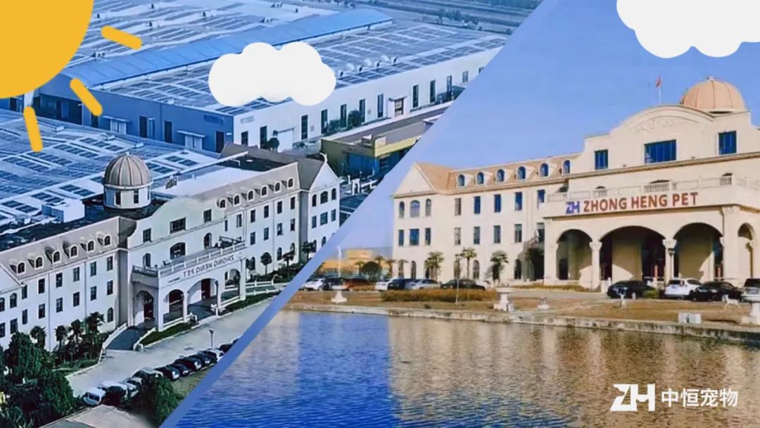 上线全新用品，布局湿粮产品，路可丝将亮相京宠展招募线下代理