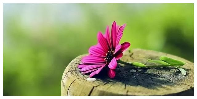 如果有一天家人变陌生你会害怕吗,如果有一天家人成了敌人