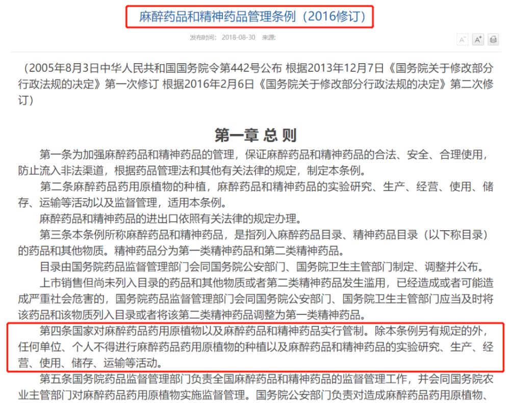 冲上热搜的歌曲,思诺思是干嘛的