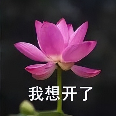 iPhone14不用买了，苹果直接让你租？