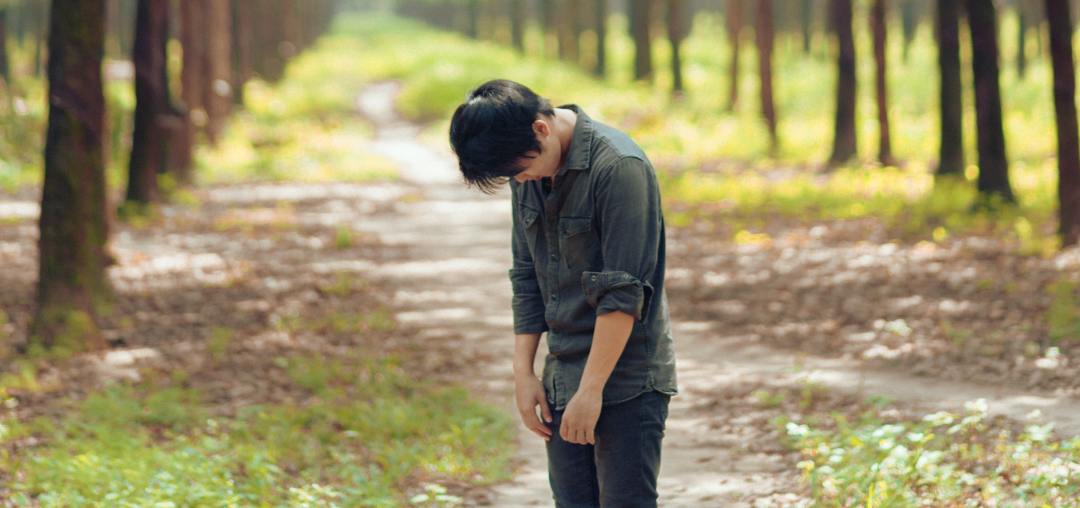 一批退档后进入二批还是征集志愿,高考退档了怎么登录不了征集志愿