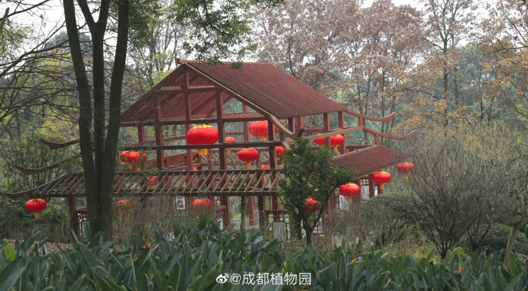 成都一晚最值得打卡的地方是哪里,去成都必要打卡的几个地方