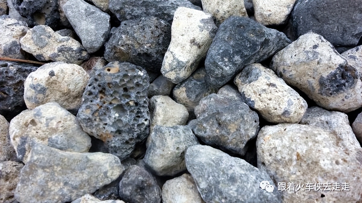 海上度假村在线观看,海上度假村完整视频