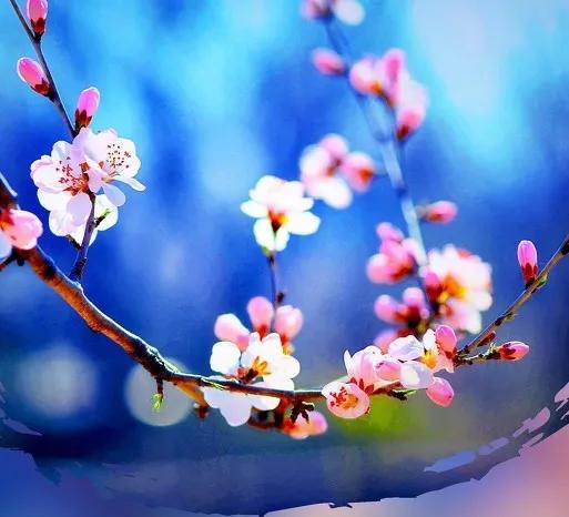 生命存在的四个条件,生命的真相就是返本归真