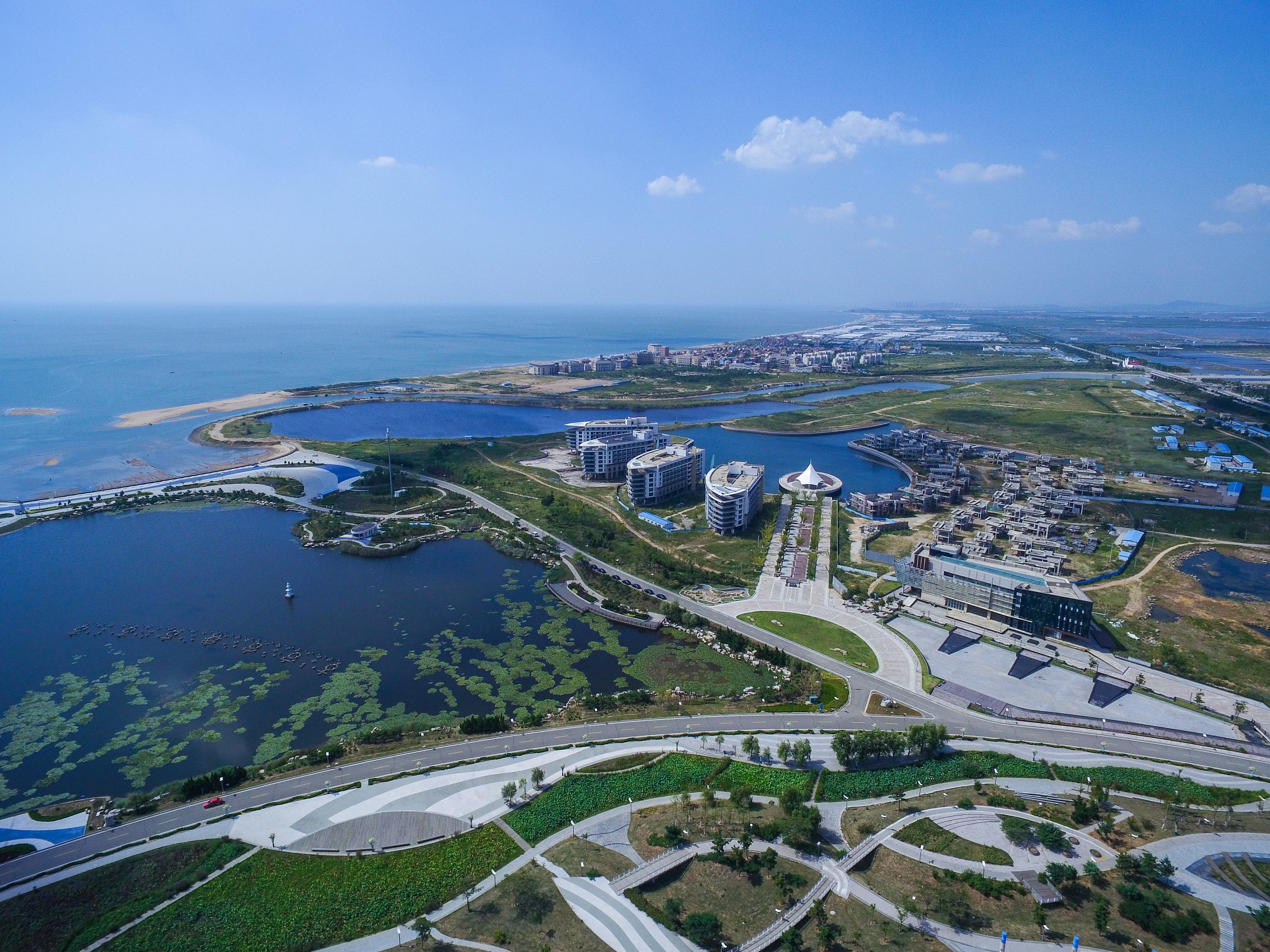 烟台莱州王旭宁,王旭宁创业中国人