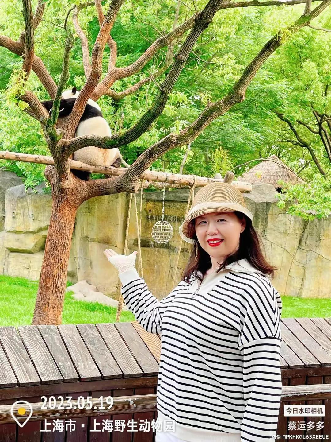 中国最大的野生动物园是哪个城市,中国最大野生动物园