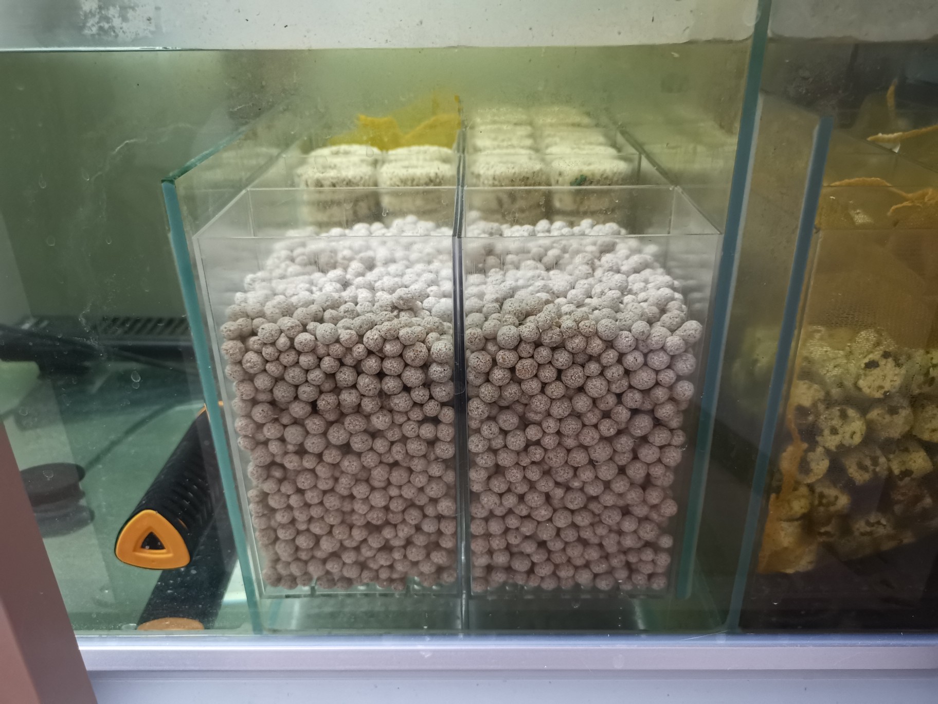 鱼缸硝化系统崩溃是什么原因,新鱼缸最快建立硝化系统时间