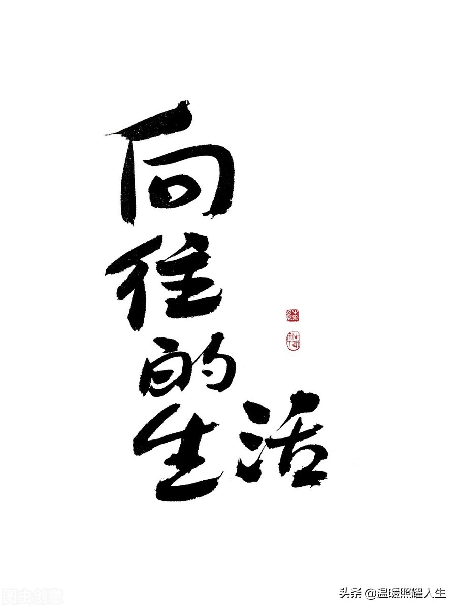 母亲节康乃馨100张照片,母亲节康乃馨的照片