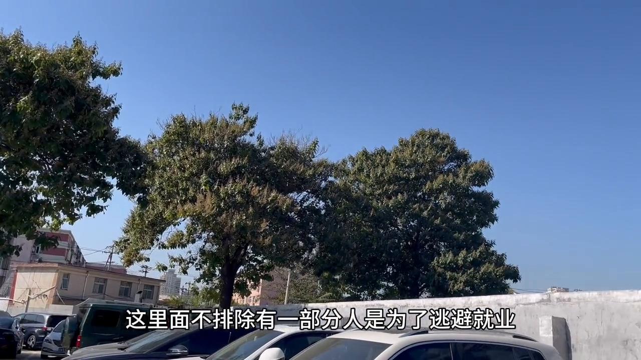 it行业真的崩盘了吗,it行业崩盘了么