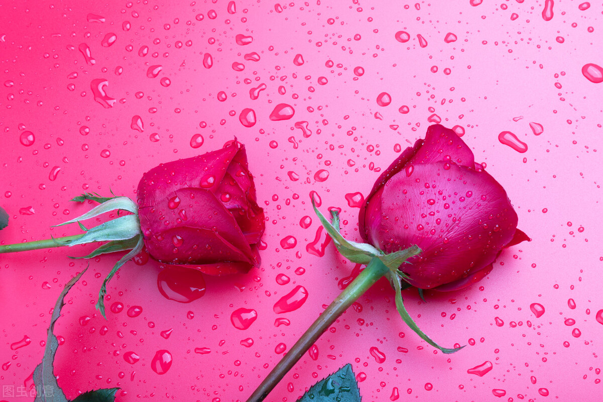 如何向女生表白诗,如何向女生表白高情商