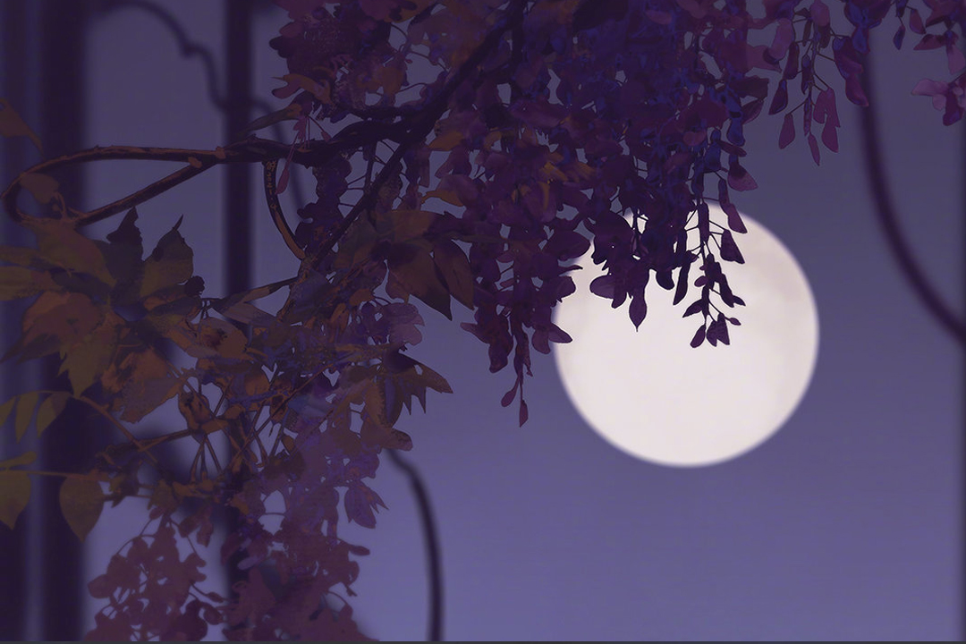 原创不知名作品,不知名诗人传世名句大全及解释