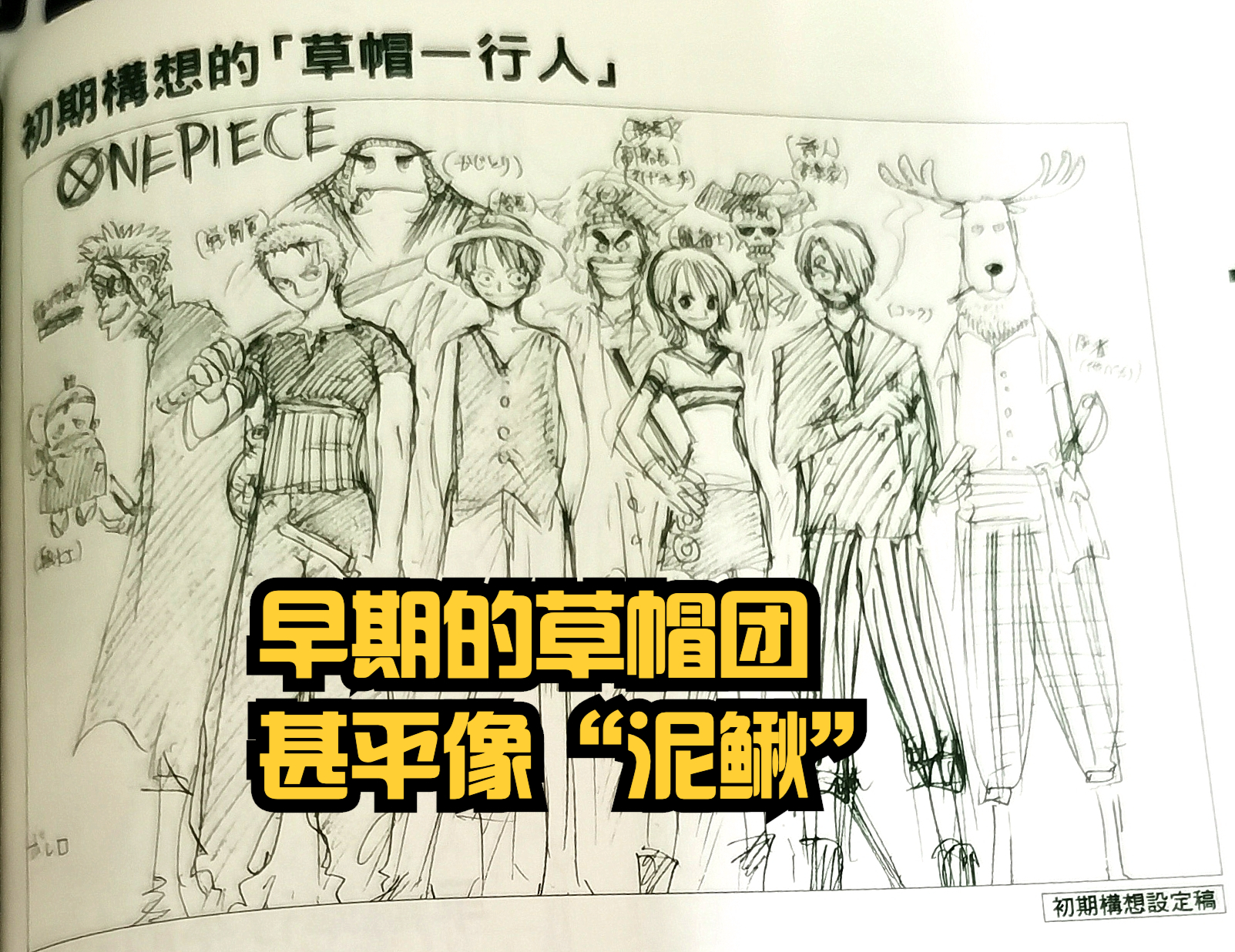 海贼王甚平原来的形象,海贼王官方情报在哪公布